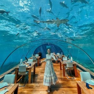 Through the looking glass: Best glass-floor villas in Maldives | Orbzii