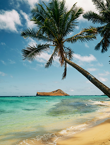 Hawaii - một điểm đến đầy màu sắc và sinh động, được biết đến như một thiên đường du lịch tuyệt vời. Đây là nơi lý tưởng để thưởng ngoạn khung cảnh thiên nhiên hoang sơ, tắm biển, lướt sóng và khám phá văn hóa đặc trưng của đảo quốc này.