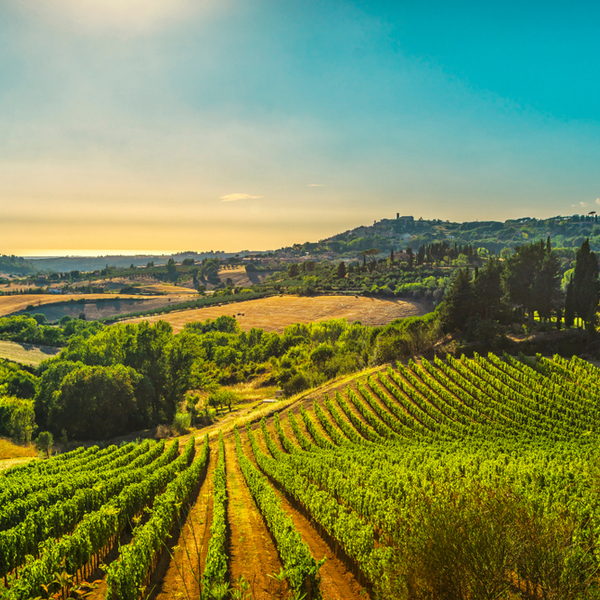 best wine tours in florence