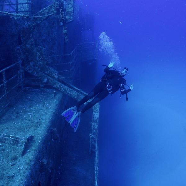 The ultimate guide to scuba diving in Madeira Orbzii